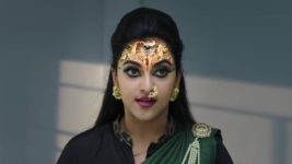 Naga Panchami (Star Maa) S01 E53 Panchami Cautions Sabari