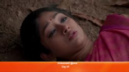 Ninaithale Inikkum S01 E549 12th May 2023