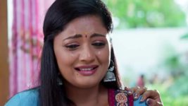 Radhaku Neevera Praanam S01 E28 25th May 2023