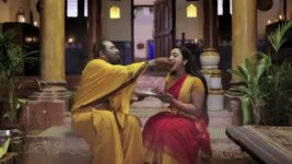 Trinayani (Telugu) S01 E940 30th May 2023