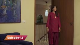 Dil e Bereham S01 E12 8th January 2019