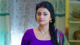 Ennenno Janmala Bandham S01 E419 Neelambari's Unexpected Move