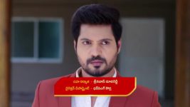 Guppedantha Manasu S01 E769 Shailendra's Wicked Game