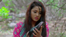 Madhuranagarilo (Star Maa) S01 E55 Radha Gets Worried