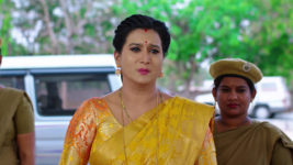 Malli Nindu Jabili S01 E348 Sumithra Pleads with Vasundhara