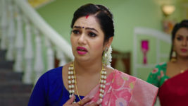 Naga Panchami (Star Maa) S01 E12 Vaidehi Is Anxious