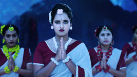 Naga Panchami (Star Maa) S01 E19 Nageswari Feels Remorseful