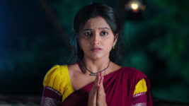 Naga Panchami (Star Maa) S01 E35 Panchami in a Fix