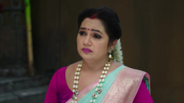 Naga Panchami (Star Maa) S01 E39 Vaidehi's Humble Plea