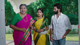 Naga Panchami (Star Maa) S01 E48 Sabari Is Elated