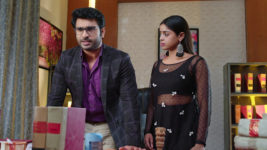 Paape Maa Jeevana Jyothi S01 E623 Surya's Request to Mallika