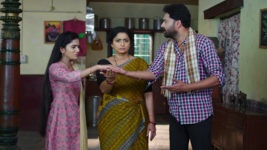 Paape Maa Jeevana Jyothi S01 E645 Padma's Stubborn Attitude