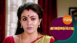 Vanathai Pola S01 E729 4th May 2023