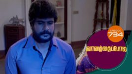 Vanathai Pola S01 E734 10th May 2023