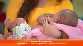 Anna (Tamil) S01 E03 24th May 2023