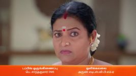 Anna (Tamil) S01 E19 15th June 2023