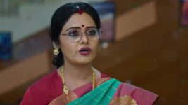 Paape Maa Jeevana Jyothi S01 E667 Surya Seeks Forgiveness