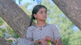 Renuka Yellamma (Star Maa) S01 E66 Yellamma Is Relieved