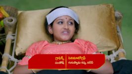 Renuka Yellamma (Star Maa) S01 E74 Renuka Is Relieved