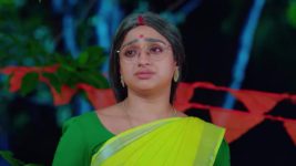 Trinayani (Kannada) S01 E739 2nd June 2023