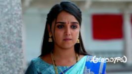 Ammayi Garu S01 E186 3rd June 2023