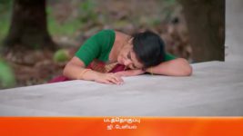 Amudhavum Annalakshmiyum S01 E303 26th June 2023