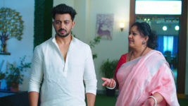 Ennenno Janmala Bandham S01 E424 Malini's Advice to Yash