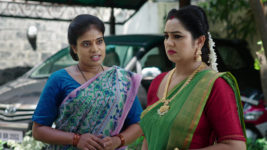 Naga Panchami (Star Maa) S01 E58 Dharani's Wicked Scheme