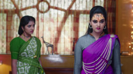 Naga Panchami (Star Maa) S01 E78 Nageswari Meets Panchami