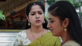 Paape Maa Jeevana Jyothi S01 E675 Jyothi Defends Kutti