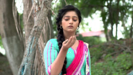 Tunte (Star Jalsha) S01 E11 Tunte in Trouble?