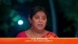 Amudhavum Annalakshmiyum S01 E329 1st August 2023