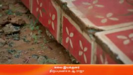 Anna (Tamil) S01 E47 19th July 2023