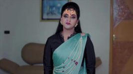 Naga Panchami (Star Maa) S01 E90 Sisira Tutors Panchami