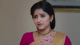 Naga Panchami (Star Maa) S01 E99 Nageswari Troubles Jwala, Chitra