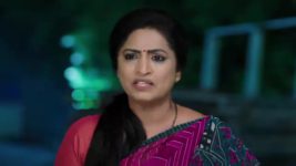 Paape Maa Jeevana Jyothi S01 E691 Jeevana, Harsha's Evil Move