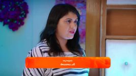 Trinayani (Telugu) S01 E973 7th July 2023