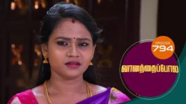 Vanathai Pola S01 E794 19th July 2023