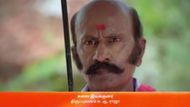 Anna (Tamil) S01 E82 29th August 2023