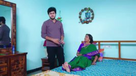 Avunu Valliddaru Istapaddaru S01 E162 Chitti Has a Plan