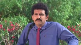 Kalyanamasthu S01 E492 8th August 2023