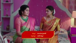 Krishna Mukunda Murari S01 E231 Krishna, Murari Tie Knot