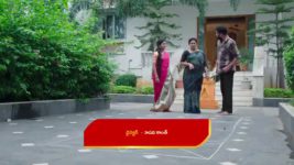 Paape Maa Jeevana Jyothi S01 E709 A Stunner for Padma