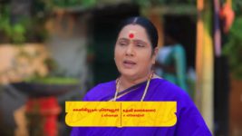 Pandian Stores S01 E1288 Kamakshi, Parvathy at Odds