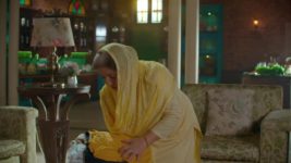 Dil Diyaan Gallaan S01 E218 Biji Ki Barfi