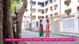 Kendasampige S01 E281 Sumana falls in Sadhana's trap