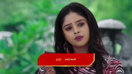 Paape Maa Jeevana Jyothi S01 E720 Hymavathi's Anger Explodes