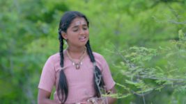 Renuka Yellamma (Star Maa) S01 E139 Will Yellamma Find Renuka?