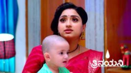 Trinayani (Kannada) S01 E810 24th August 2023