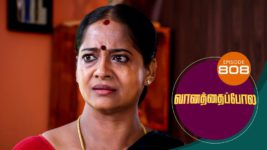 Vanathai Pola S01 E808 3rd August 2023